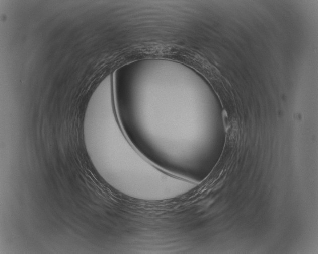 X0000085241202200703090913
