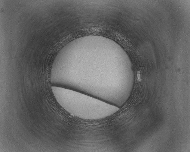 X0000085241203200703090913