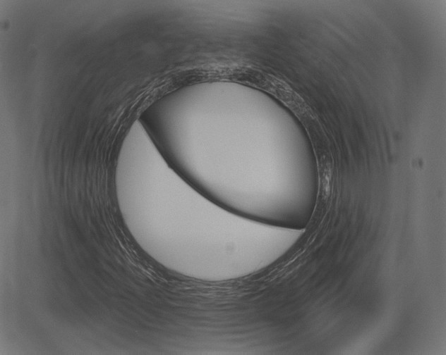 X0000085241204200703090913