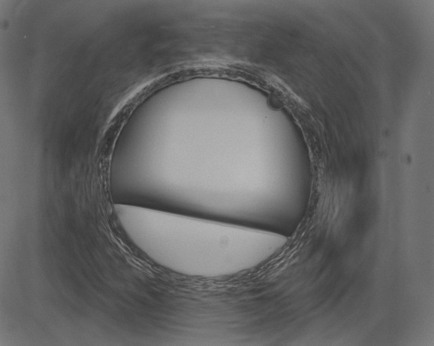 X0000085241208200703090913