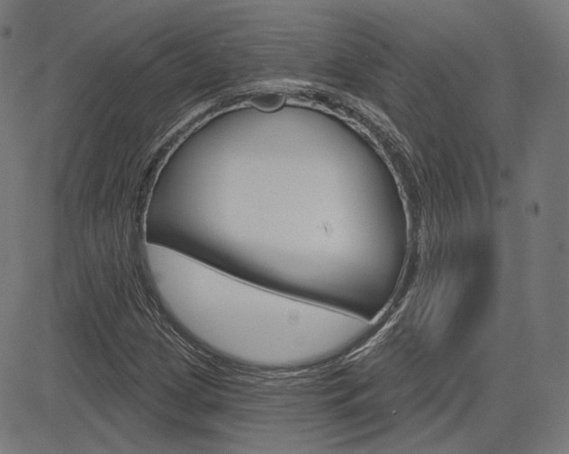 X0000085241209200703090913