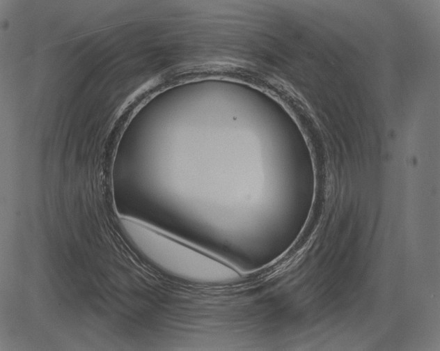 X0000085241210200703090913