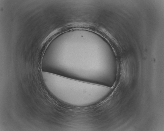 X0000085241213200703090913