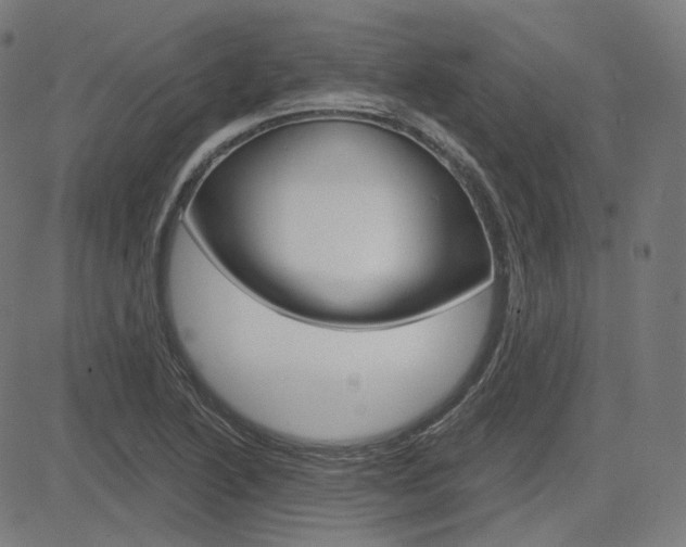 X0000085241222200703090914
