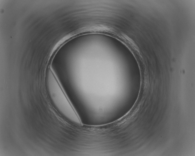 X0000085241226200703090914