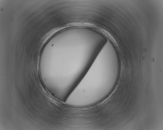 X0000085241228200703090914