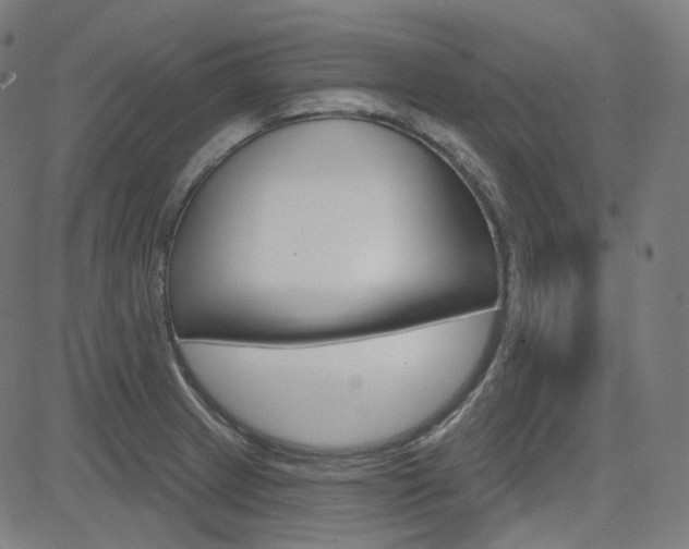 X0000085241233200703090914