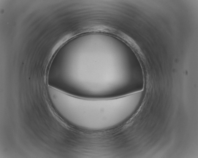 X0000085241234200703090914