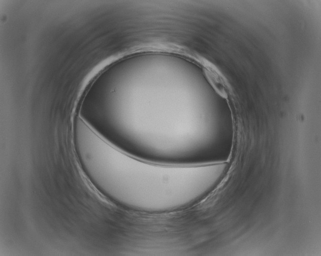X0000085241238200703090914