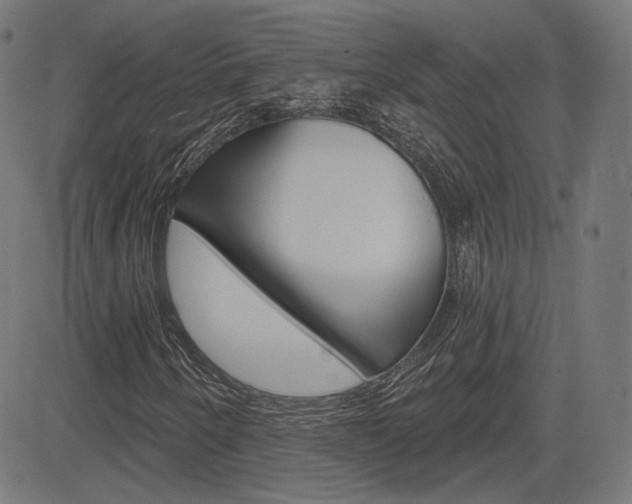 X0000085241250200703090913