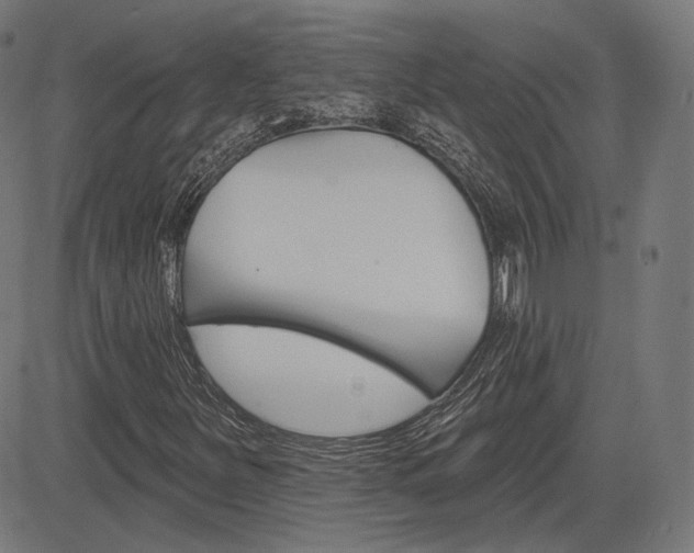 X0000085241251200703090913