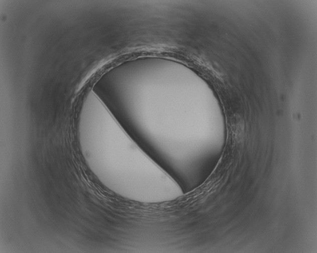 X0000085241256200703090913