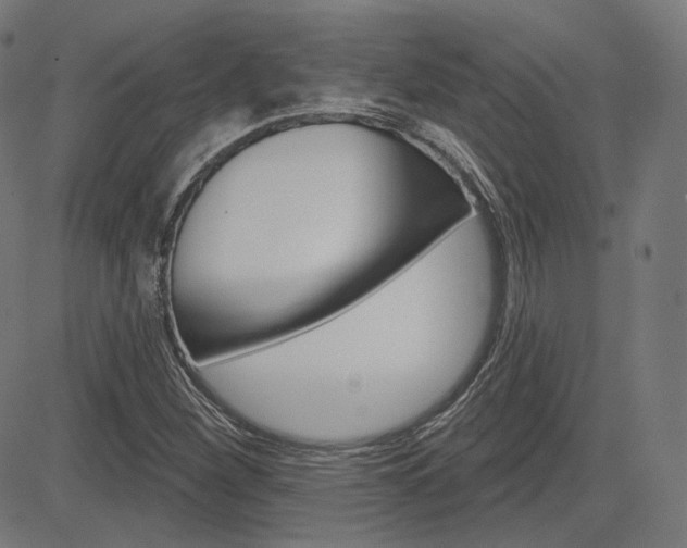 X0000085241260200703090913
