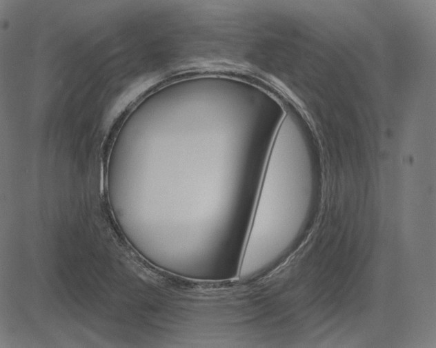 X0000085241269200703090913