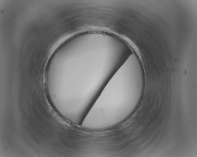 X0000085241287200703090913