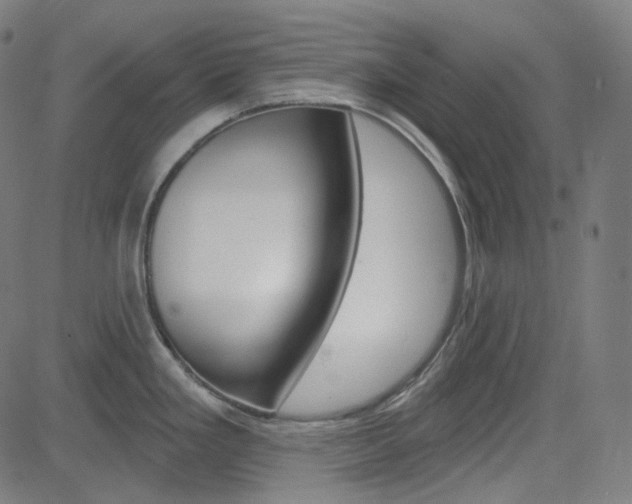 X0000085241293200703090912