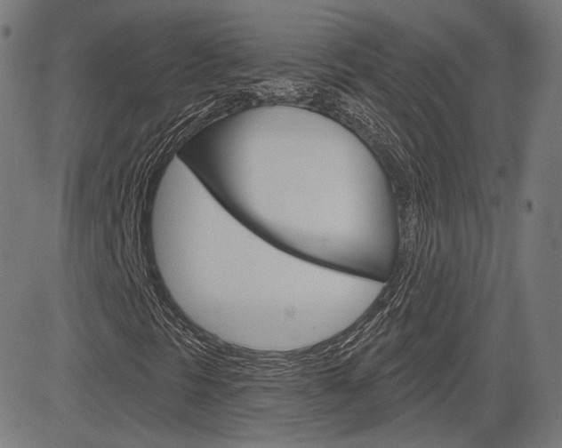 X0000085241297200703090912