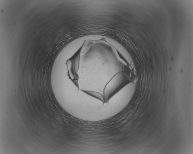 X0000085241298200703090912