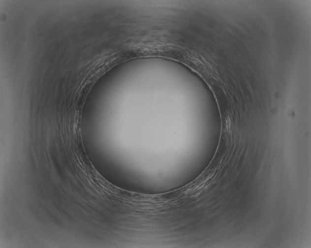 X0000085241300200703090912