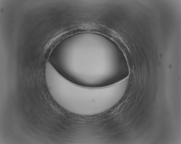 X0000085241304200703090912