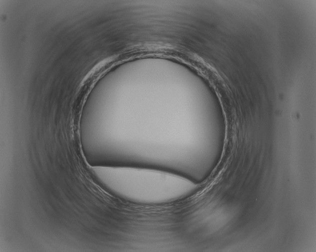 X0000085241306200703090912