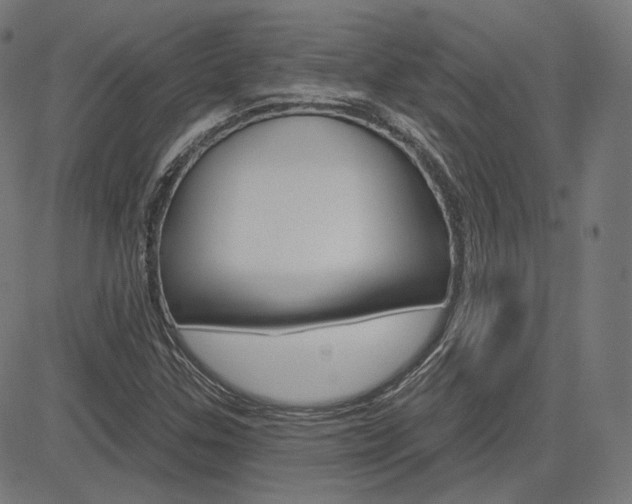 X0000085241307200703090912