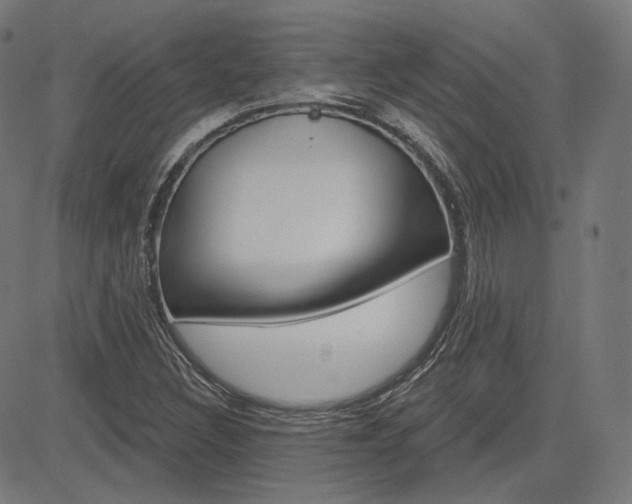X0000085241308200703090912