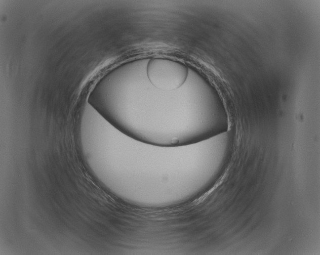 X0000085241309200703090912