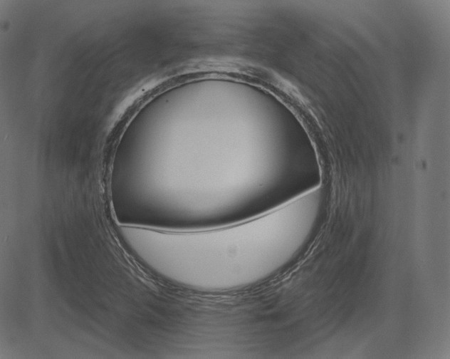 X0000085241312200703090912
