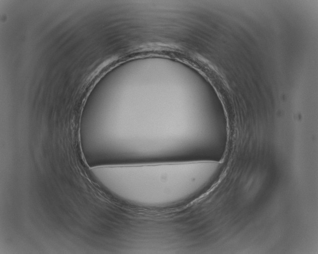 X0000085241313200703090912