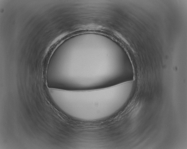 X0000085241315200703090912