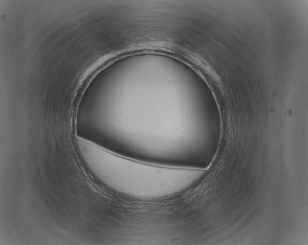 X0000085241316200703090912