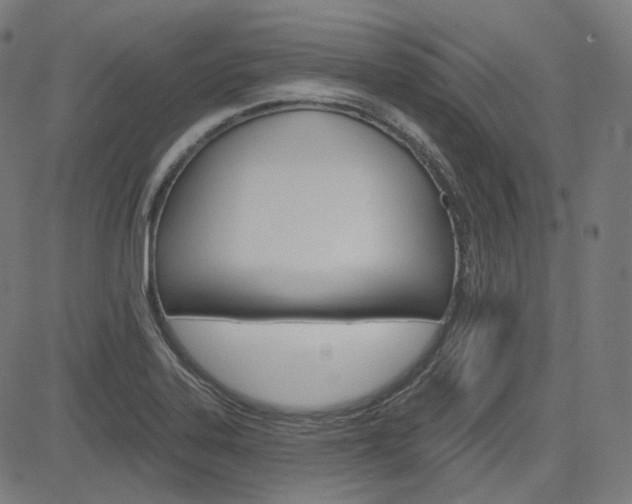 X0000085241323200703090912