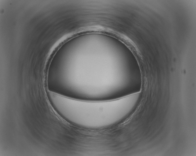 X0000085241326200703090912