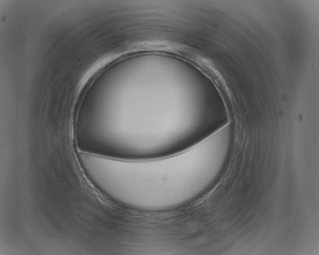 X0000085241328200703090912