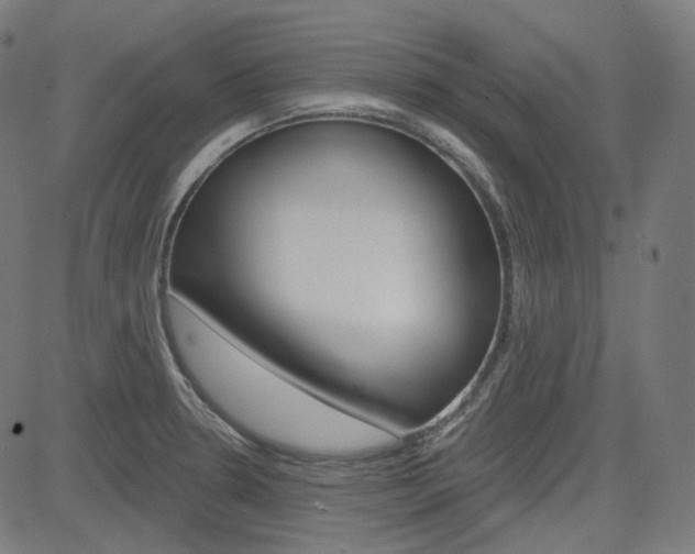 X0000085241330200703090912