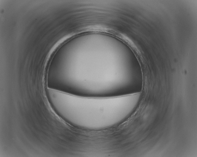 X0000085241331200703090912