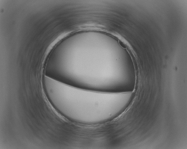 X0000085241333200703090912