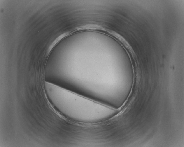 X0000085241337200703090912
