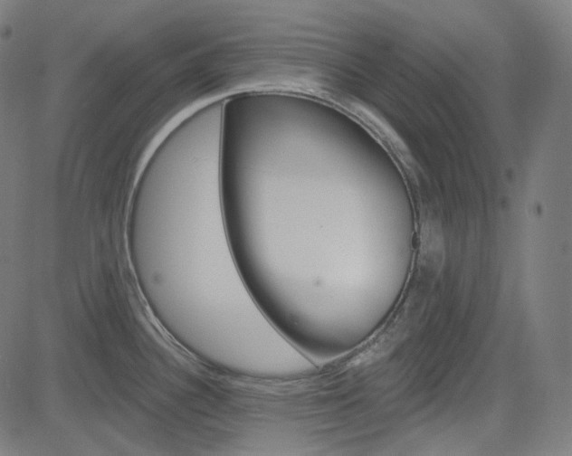 X0000085241340200703090912
