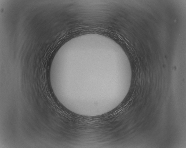 X0000085241345200703090912