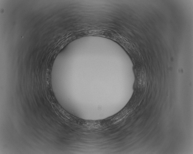 X0000085241346200703090912