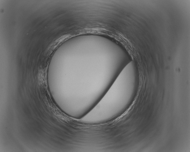 X0000085241353200703090911