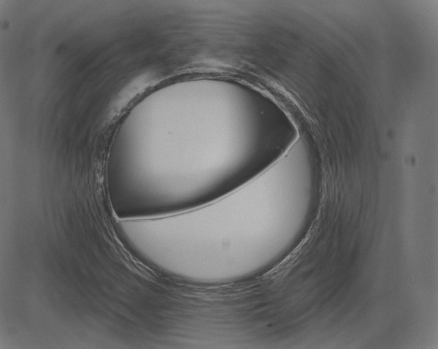 X0000085241355200703090911
