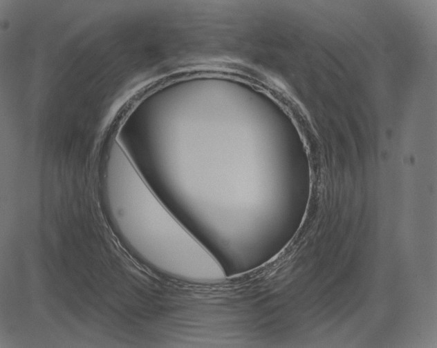 X0000085241360200703090911