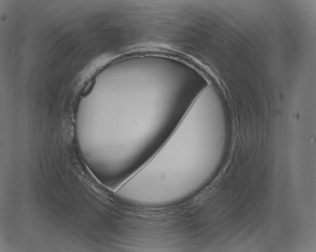 X0000085241363200703090911