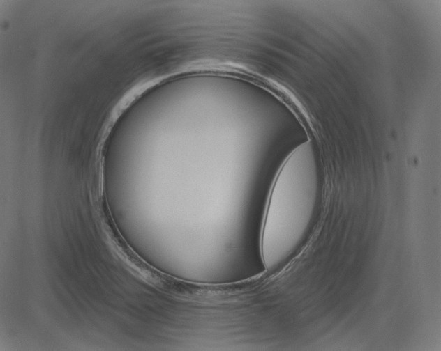 X0000085241371200703090911