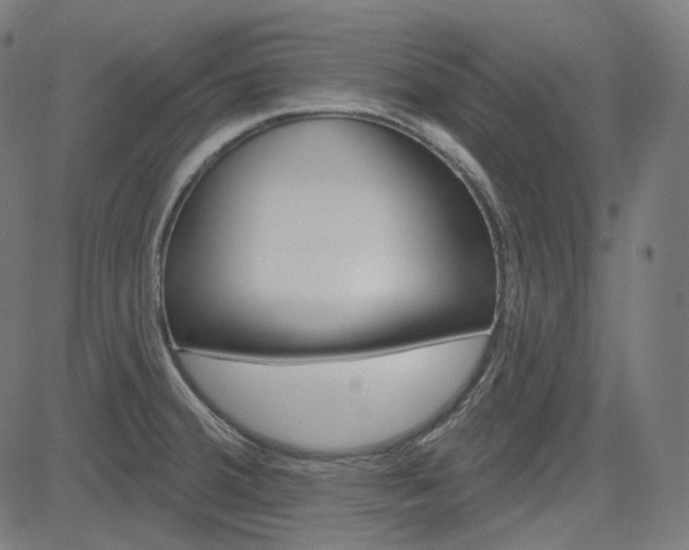 X0000085241380200703090911