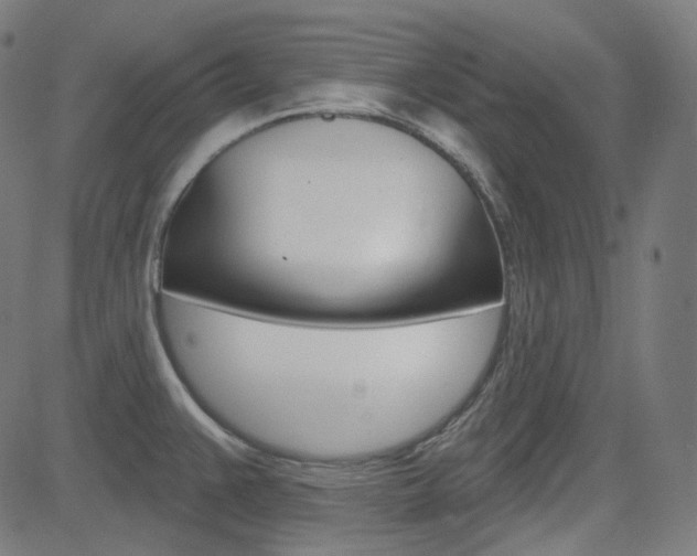 X0000085241383200703090911