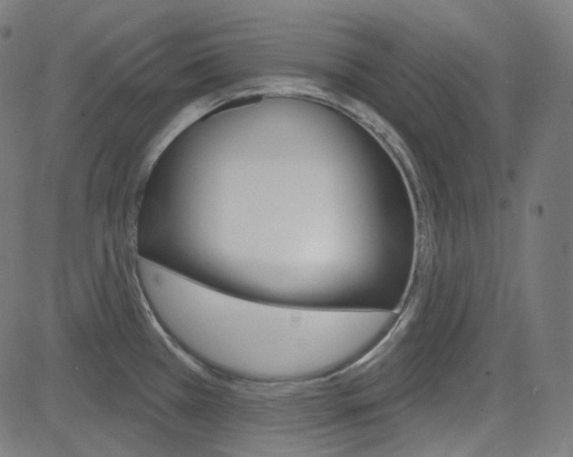 X0000085241385200703090911